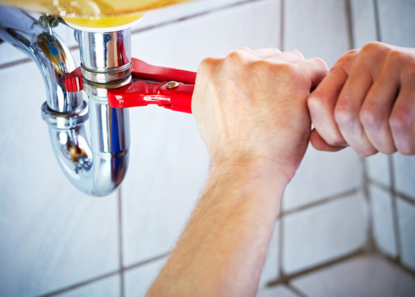 About Toddville Plumbers